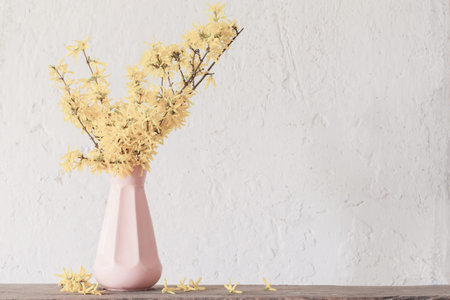 forsythia  in vase on vintage white background