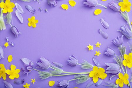 purple and yellow spring  flowers on violet paper backgroundの写真素材