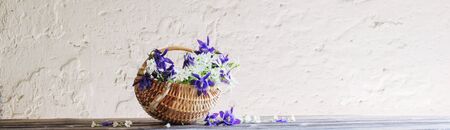 summer flowers in basket on background white wallの写真素材