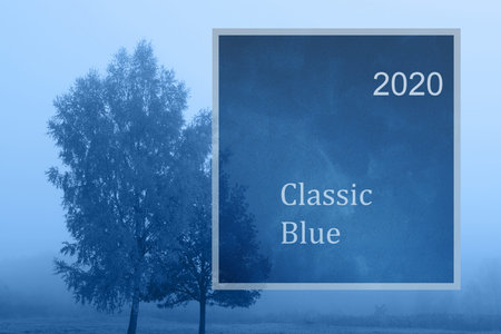 Blue misty sad landscape. Classic blue 2020.