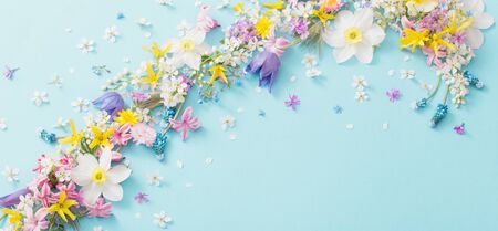 beautiful spring flowers on paper backgroundの写真素材