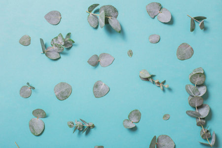 eucalyptus leaves on paper background