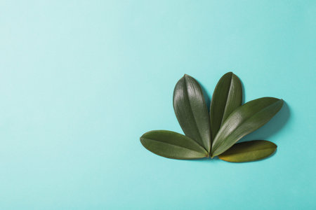 orchid leaves on blue paper background