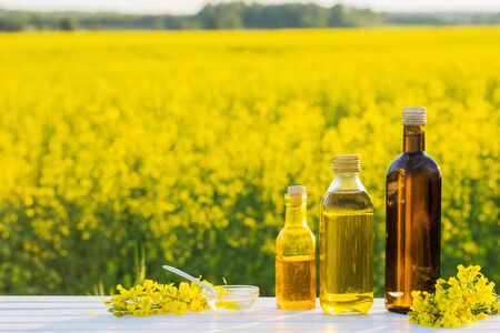 rapeseed oil in bottle on background yellow fieldの写真素材
