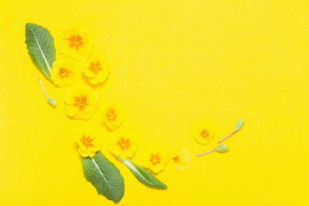 spring flowers on yellow background