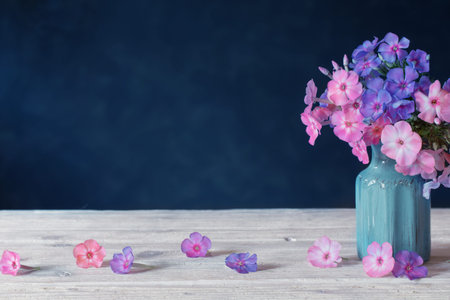 phlox in blue ceramic vase on dark blue backgroundの写真素材