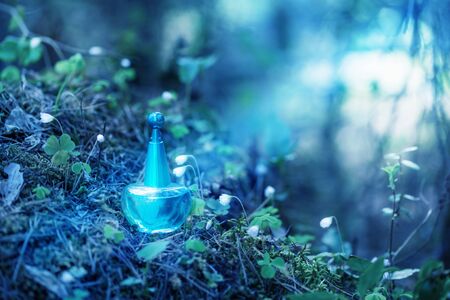 magic potion on bottle in forestの写真素材