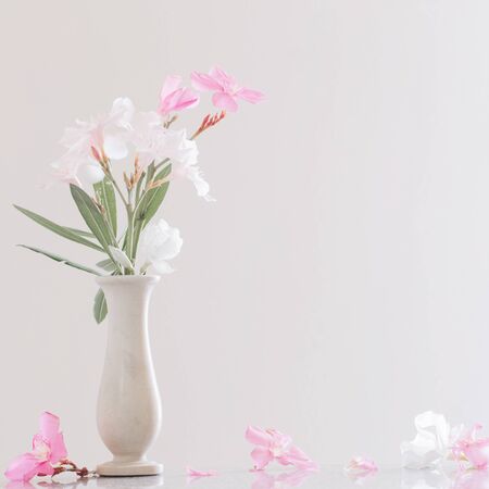 pink and white oleander in vaseの写真素材