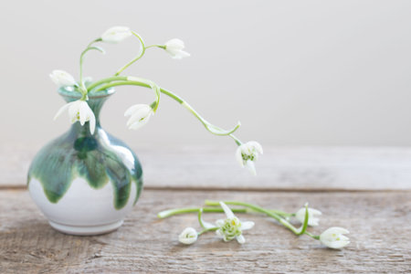 white snowdrops in ceramic vase on wooden tableの写真素材