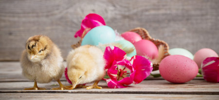 chicken with Easter eggs and spring flowers on wooden background