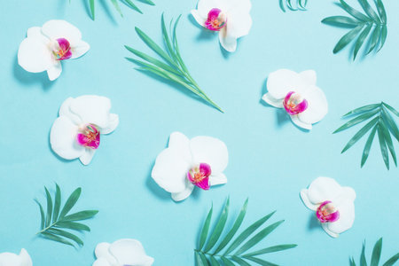 orchid flowers and green leaves on mint color paper background