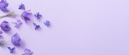 spring flowers on paper background