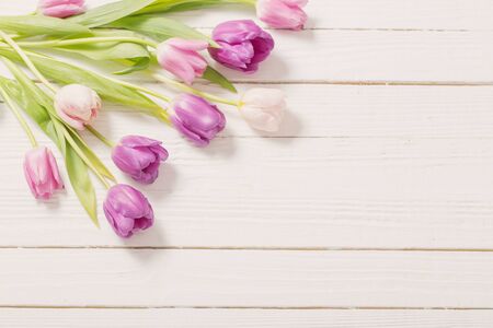 beautiful  tulips on white wooden backgroundの写真素材