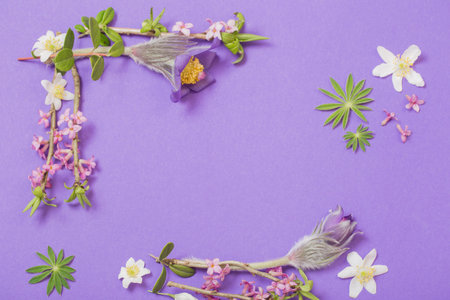 spring flowers on violet background
