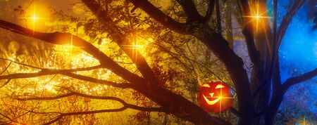 Halloween pumpkins in night mystery forestの写真素材