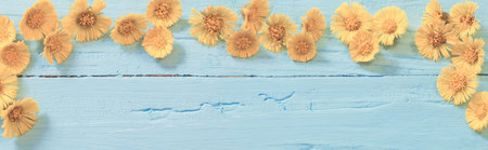 spring yellow flowers on wooden background