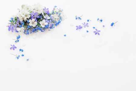 spring flowers on white backgroundの写真素材