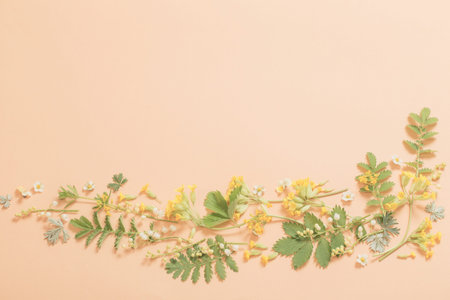 wild flowers on paper  background