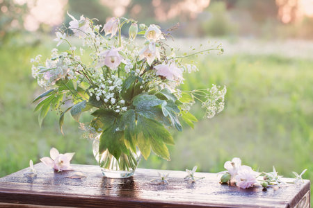 bouquet of summer flowers in glass vase in sunlight outdoorの写真素材