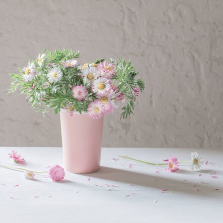 daisy flowers in pink vase on white backgroundの写真素材