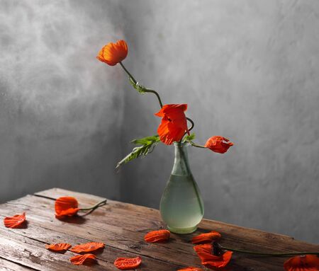 red poppies in vase on wooden tableの写真素材