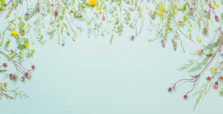 different  wild flowers on paper background