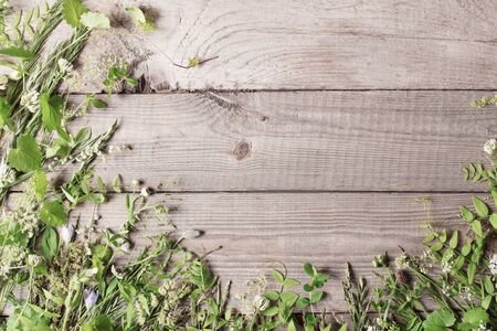 wild plants on old dark wooden backgroundの写真素材