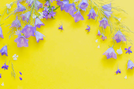 blue wild flowers on yellow backgroundの写真素材