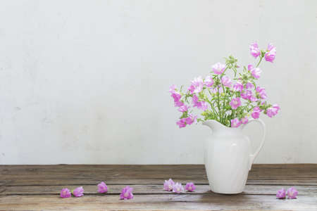 pink mallow in white jug on white backgroundの写真素材