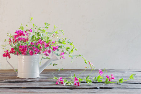 pink summer flowers in watering can on background white wall