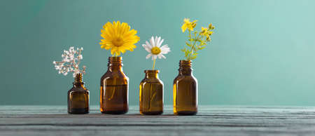 medicinal plants and brown bottles on blue backgroundの写真素材
