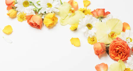 beautiful yellow and orange floral pattern on white backgroundの写真素材