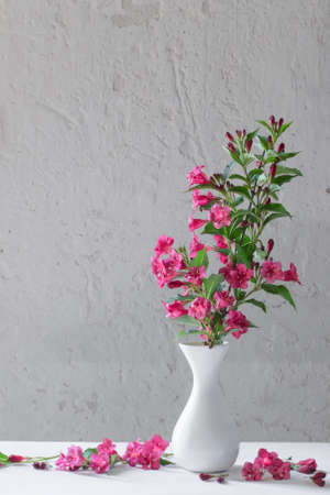 weigela flowers in white vase on white backgroundの写真素材