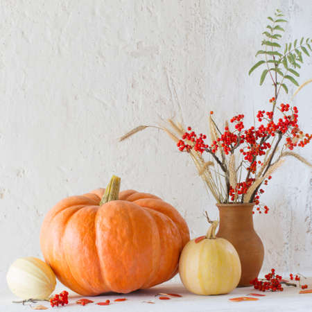 still life with pumpkins and rowan branches on wooden tableの写真素材