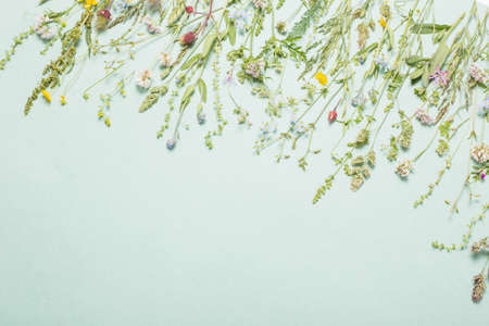 different wild flowers on paper backgroundの写真素材