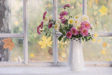 chrysanthemums in vase on windowsill in autumnの写真素材