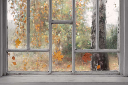 white old wooden window with rain drops and autumn leavesの写真素材
