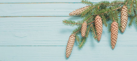 fir branches with cones on blue wooden background