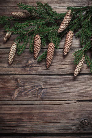 fir branches with cones on brown wooden backgroundの写真素材