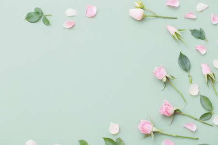 pink and white flowers on green paper backgroundの写真素材