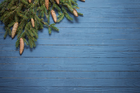 fir branches with cones on blue wooden background