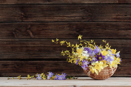 spring flowers in basket on dark wooden backgroundの写真素材