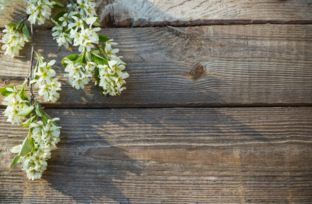 spring flowers on old wooden background