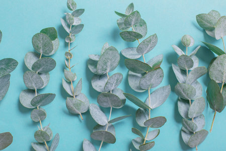 eucalyptus leaves on paper background