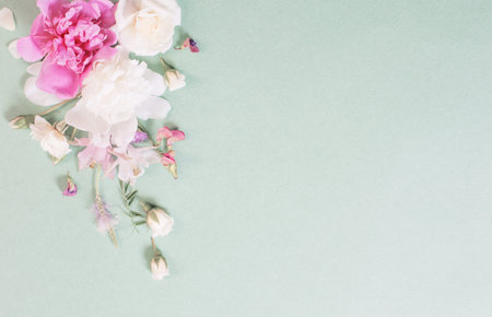 pink and white roses on paper background