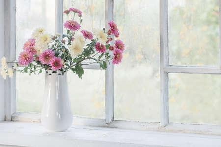 chrysanthemums in vase on windowsill in autumnの写真素材