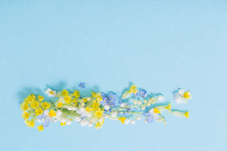 wild flowers on paper backgroundの写真素材