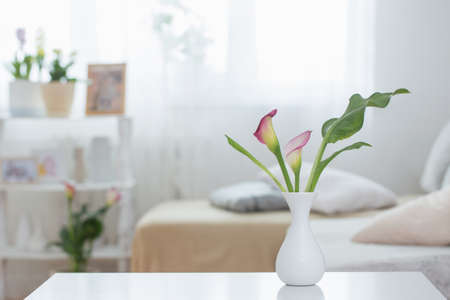 flowers in vase on white table indoorの写真素材