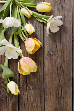 beautiful tulips on old dark wooden backgroundの写真素材