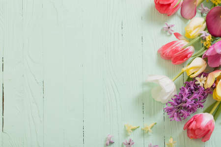 spring flowers on green wooden backgroundの写真素材